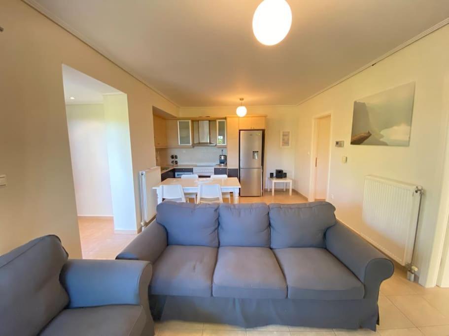 Cozy 2 Room Apartment With Garden Near Athens Air-Port Artemi Extérieur photo